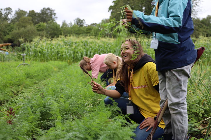 Noen få personr som jobber i et felt Noen få personr som jobber i et felt